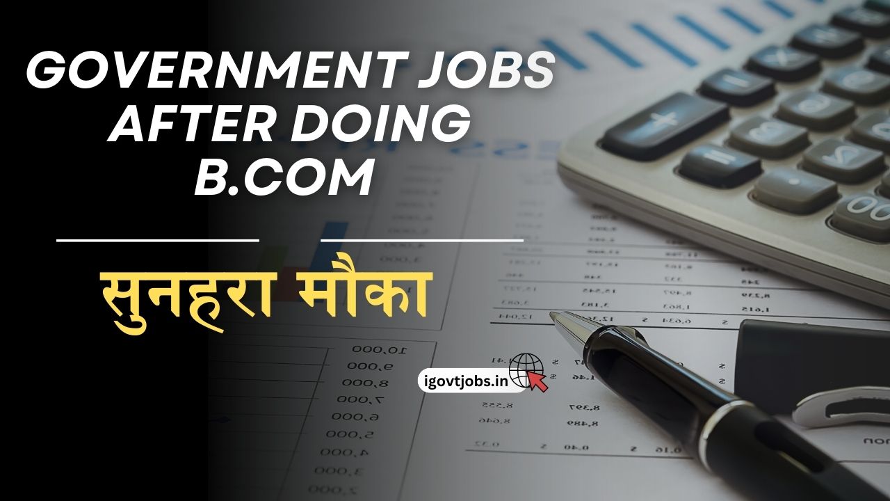 Government jobs after doing B.com Hindi